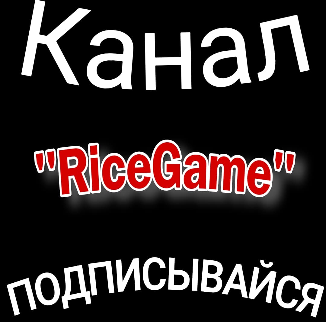 bgMedia